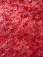 Signature Style Necklace Slider Box: Spring 2026!