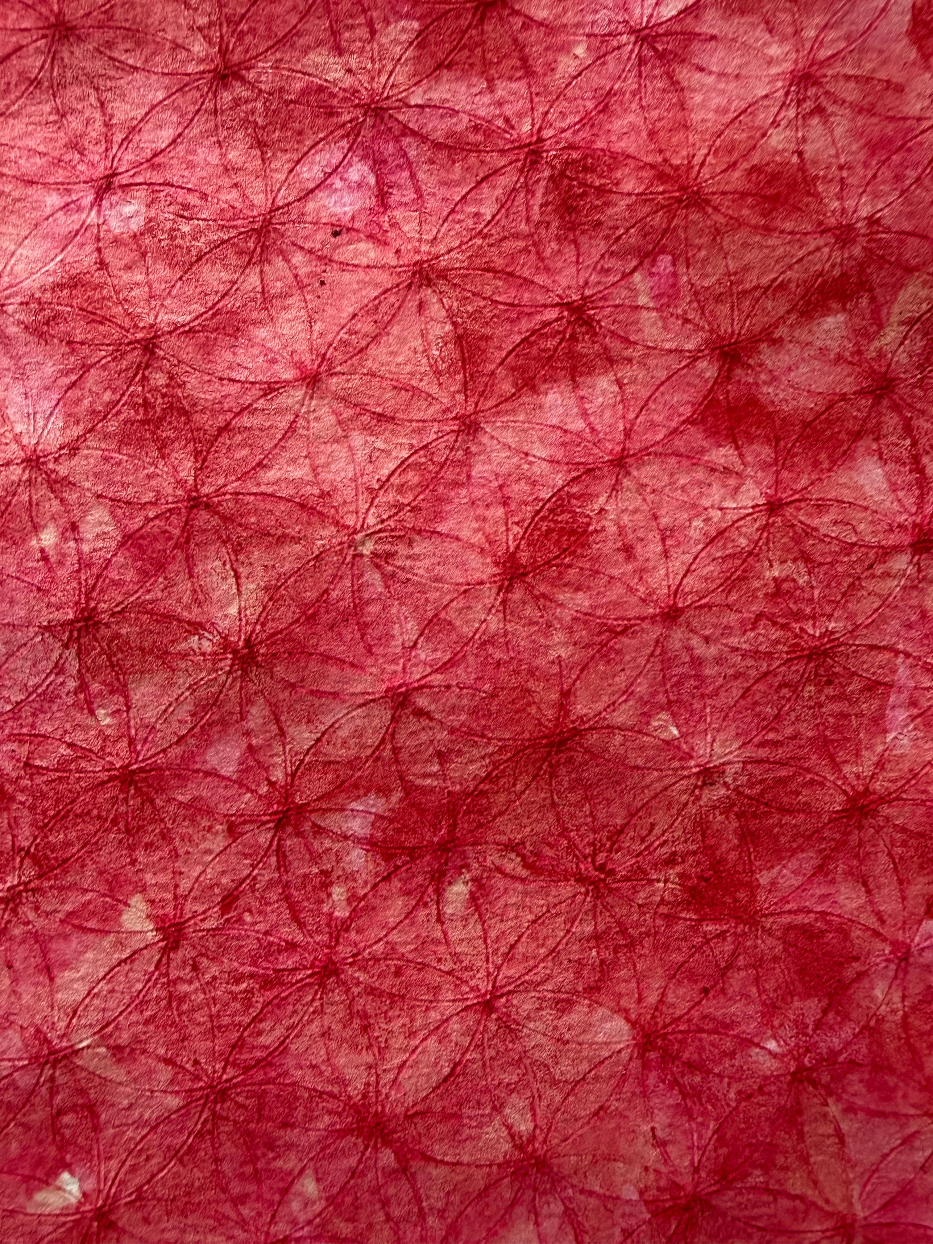 Signature Style Necklace Slider Box: Spring 2026!